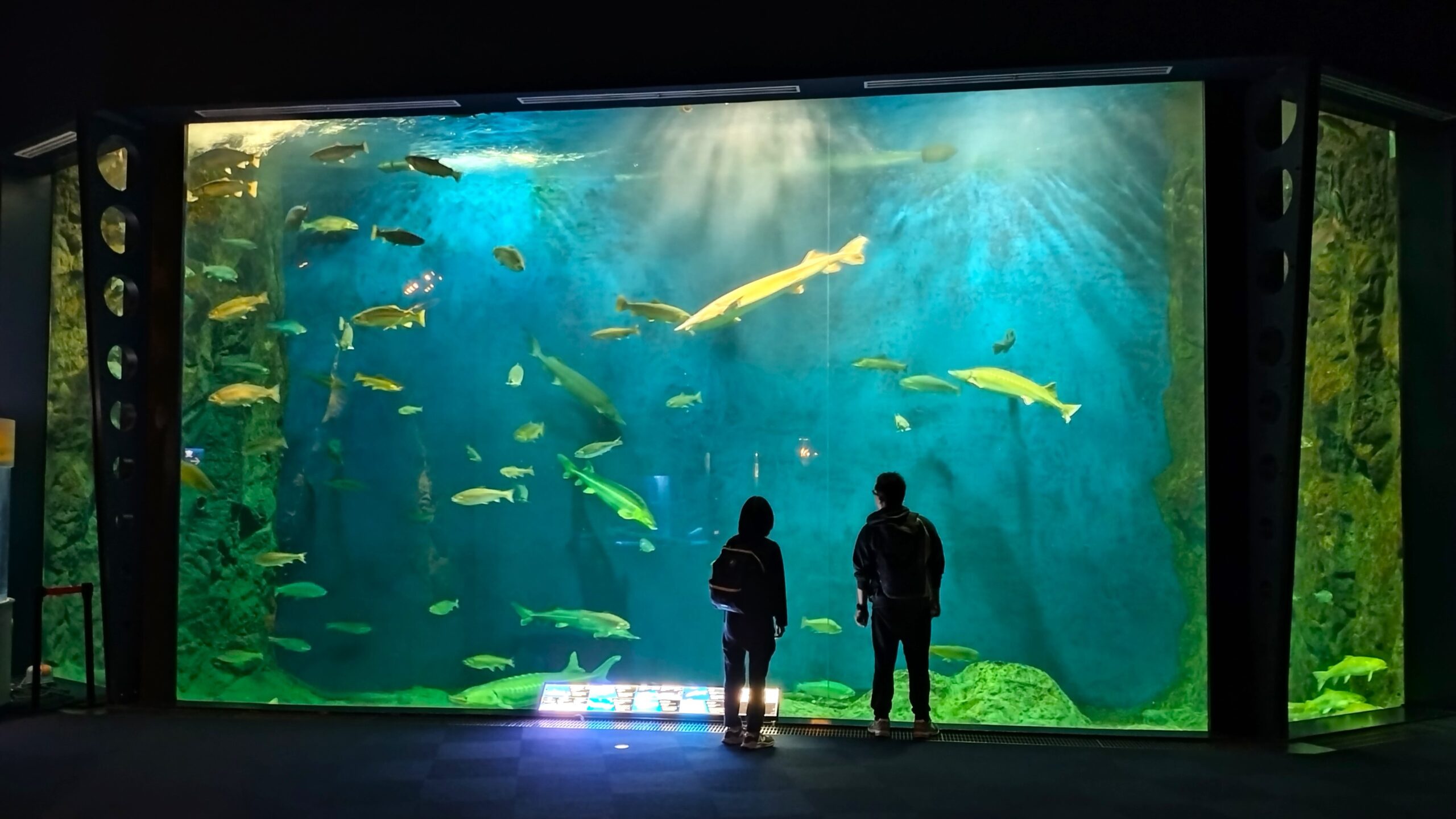 水道秋聖　「千野の池」 北海道 観光 】サケのふるさと千歳水族館とエスコンフィールドを