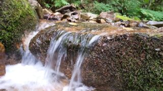 猛暑から逃れて渓流へ！冷たい水と木陰でひとときの涼を楽しむ