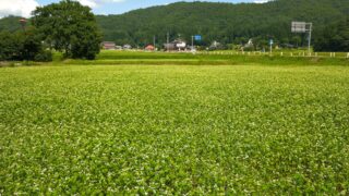 【信州 大町 そば屋めぐり】そば集落「新行」にある『美郷』とおいしいパンとクレープと