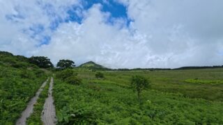 「八島湿原」や「黒曜の水」を巡ってきた|美ヶ原へ続くビーナスライン沿い 霧ヶ峰のハート形の湿原