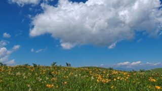 天空の涼風|霧ヶ峰のニッコウキスゲとビーナスラインの絶景と静寂の女神湖を巡ってきた