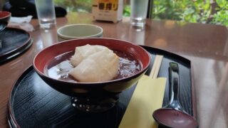出雲大社参拝とカワセミ遭遇&出雲そば羽根屋にぜんざい|特急やくもで行く山陰旅③